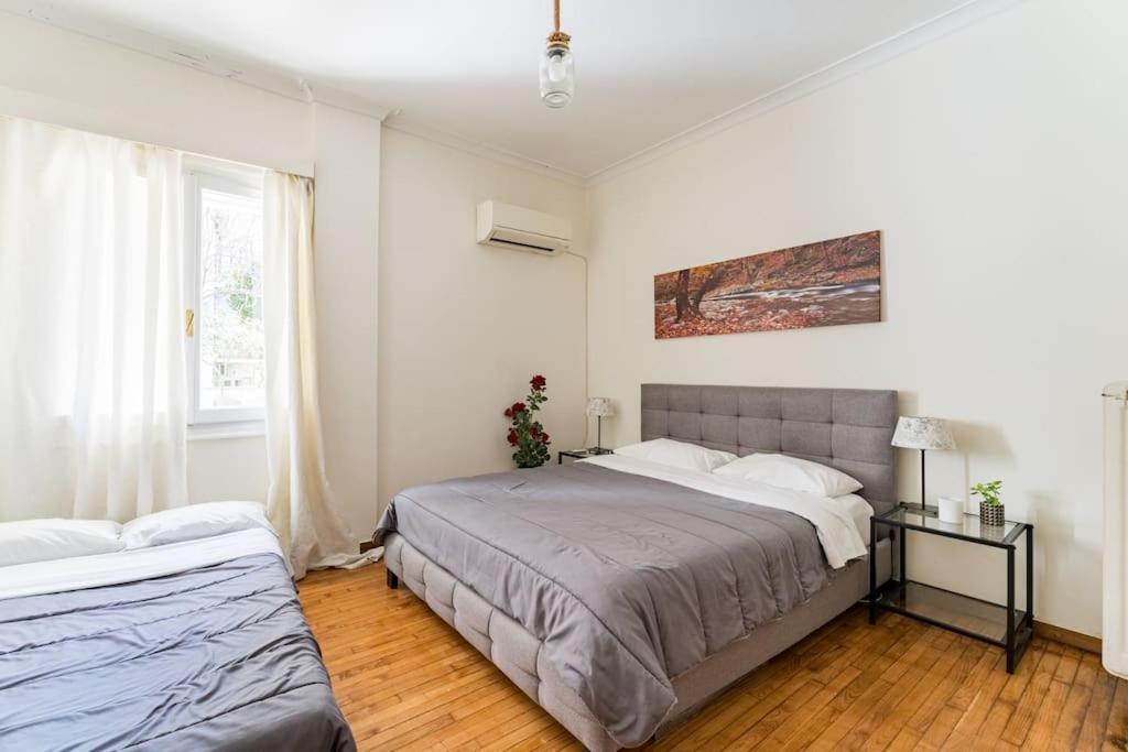 Amazing 3Bdr Apt With Unique Roof Garden In Plaka Athens Luaran gambar
