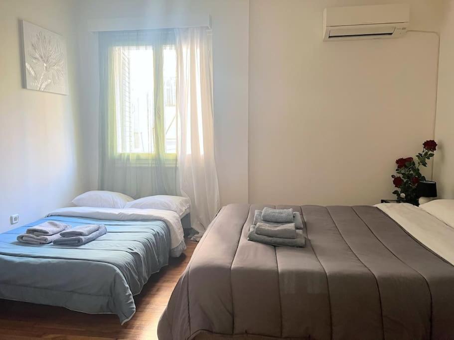 Amazing 3Bdr Apt With Unique Roof Garden In Plaka Athens Luaran gambar