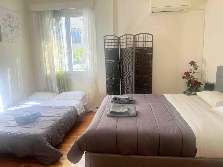 Amazing 3Bdr Apt With Unique Roof Garden In Plaka Athens Luaran gambar